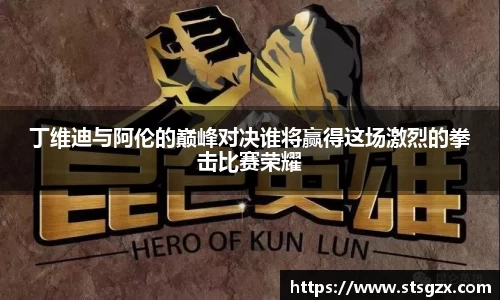 丁维迪与阿伦的巅峰对决谁将赢得这场激烈的拳击比赛荣耀